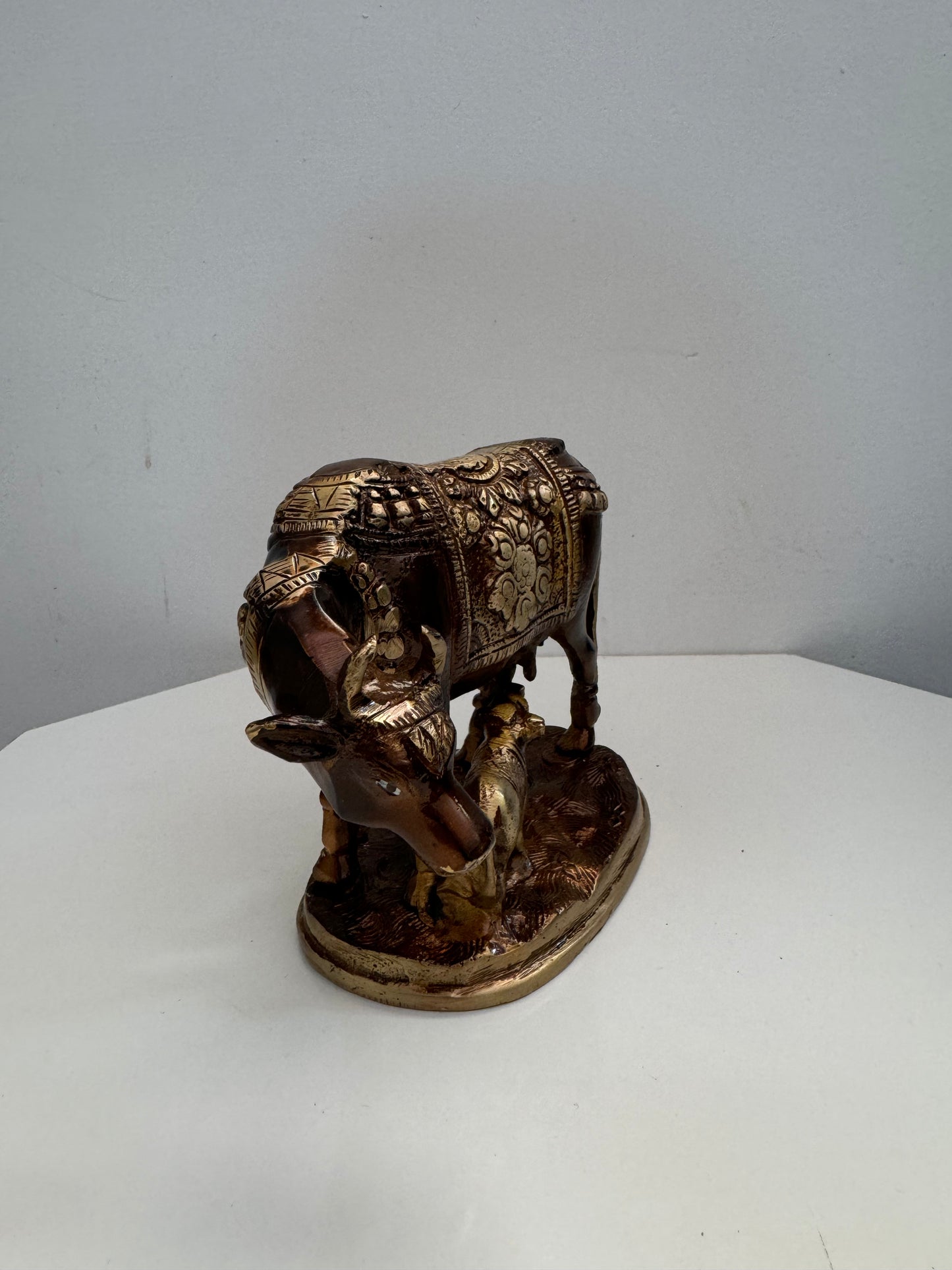 Kamdhenu Cow and calf