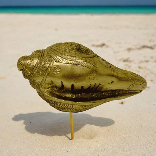 Handcrafted Brass Shell in the beach 2